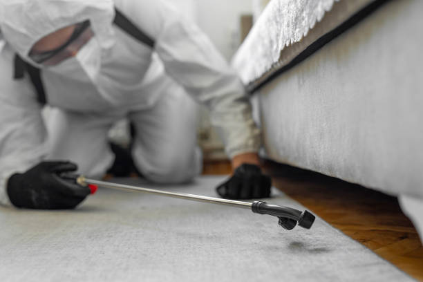 Professional Bed Bug Control technician working in Danville city County, VA